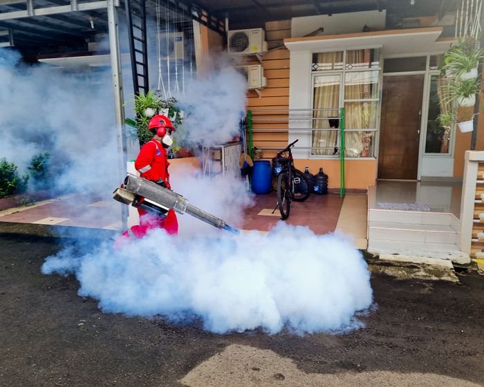 Pest Control work in progress